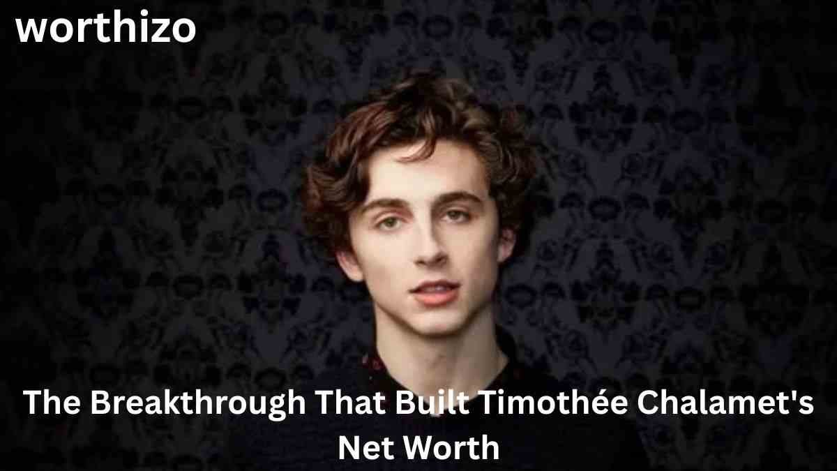 The Breakthrough That Built Timothée Chalamet’s Net Worth featuring Timothée Chalamet