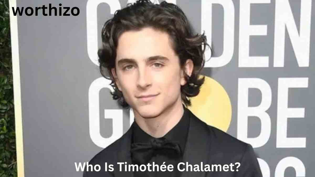 Timothée Chalamet net worth 2026 and his Hollywood career