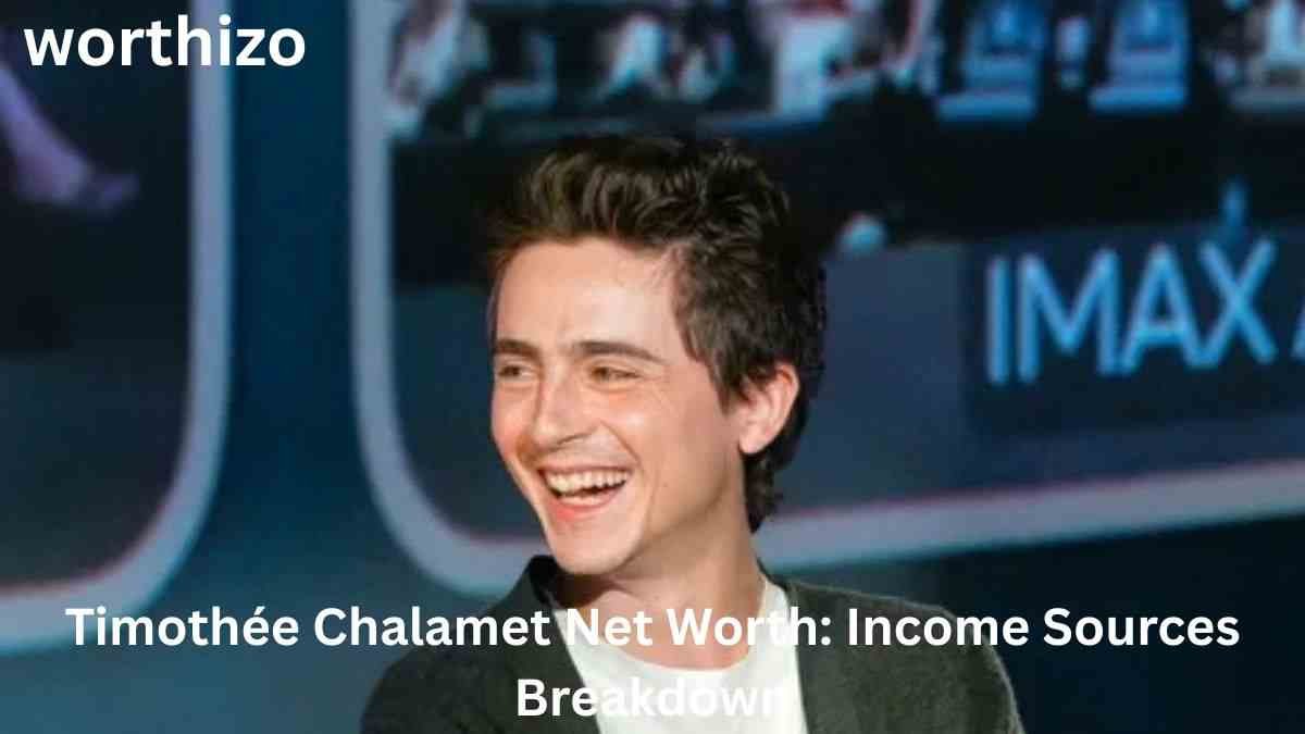 Timothée Chalamet Net Worth: Income Sources Breakdown featuring Timothée Chalamet